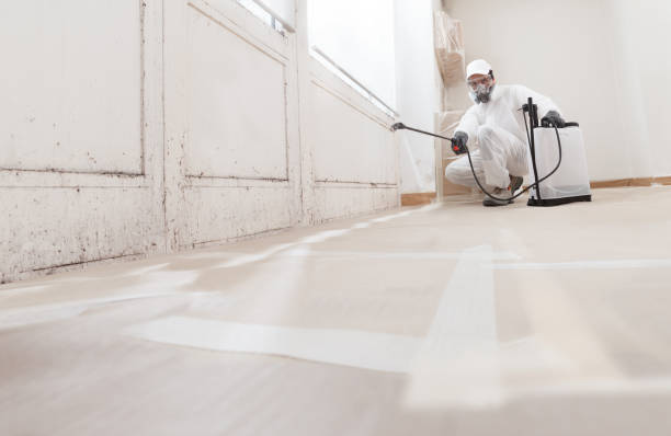 24/7 Emergency Mold Remediation experts in Decatur, TN