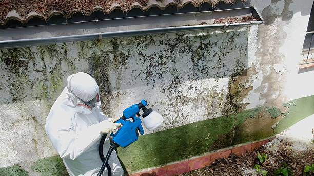 Top rated local Mold Remediation specialists in Decatur, TN